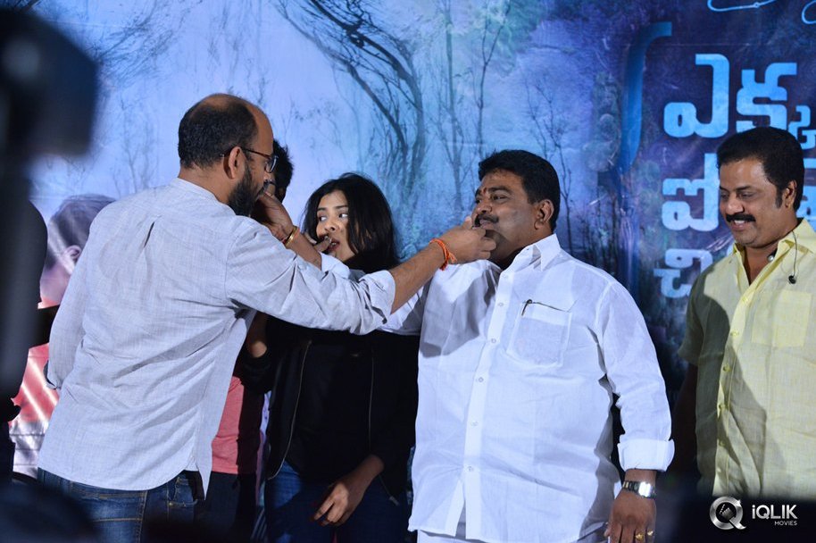 Ekkadiki-Pothavu-Chinnavada-Movie-Thanks-Meet